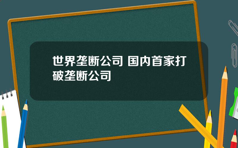 世界垄断公司 国内首家打破垄断公司